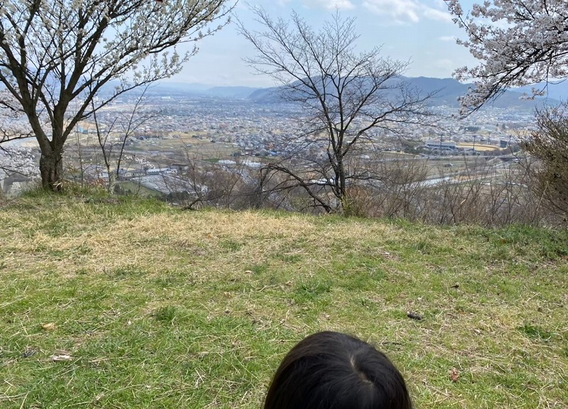 お花見の様子