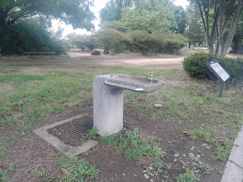 水飲み場
